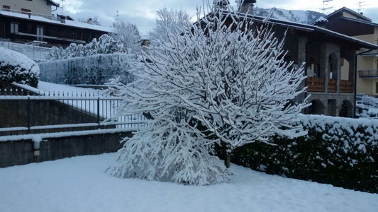 3 principi attivi per proteggere la pelle dal freddo!